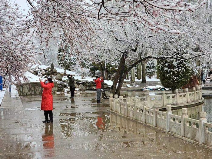 阿拉善迎來(lái)4月“桃花雪”