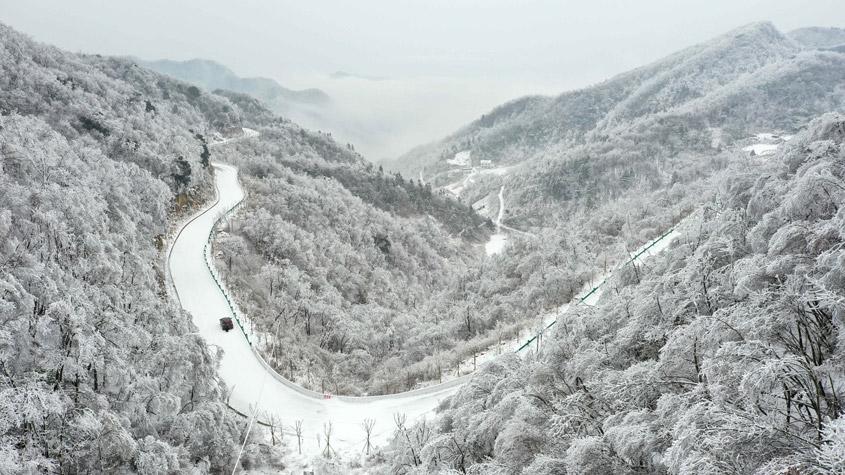 湖北?？惮F(xiàn)森林霧凇景觀 如水墨畫(huà)卷